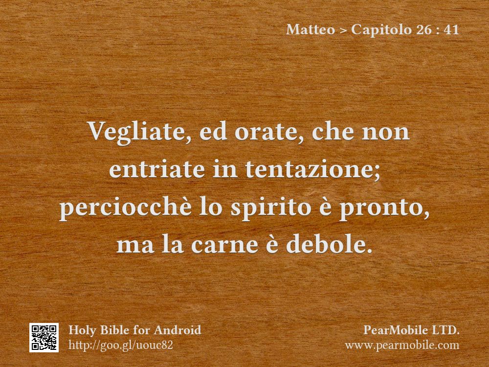 Matteo, Capitolo 26:41